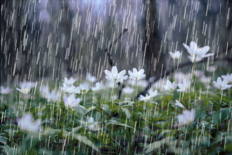 Sábado de calor y alerta por tormentas fuertes en la región