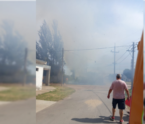 Se incendiaron pastizales en el predio de Ar Zinc y los vecinos colaboraron con baldes de agua