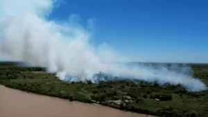 Bomberos Zapadores se suman al incendio en la Isla de Los Mástiles