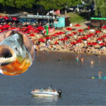 Más de 30 personas fueron mordidas por palometas este domingo en la Costanera Este de Santa Fe