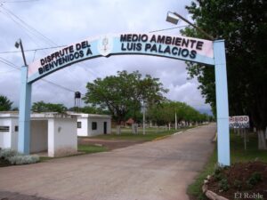 Alerta en Luis Palacios: Motochorros atacaron en la ruta 34