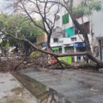 Intenso temporal en Rosario y la región: lluvia, piedras y ráfagas de 100 km/h