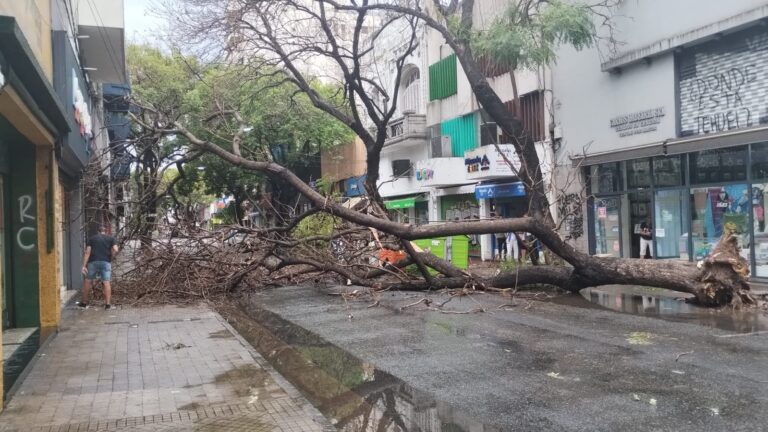 Intenso temporal en Rosario y la región: lluvia, piedras y ráfagas de 100 km/h