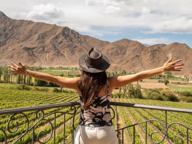 Hot Sale 2025: el turismo despega tras el fin del cepo.