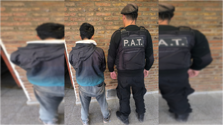 Detienen en Puerto a un hombre con pedido de captura por un hecho de violencia en Mendoza