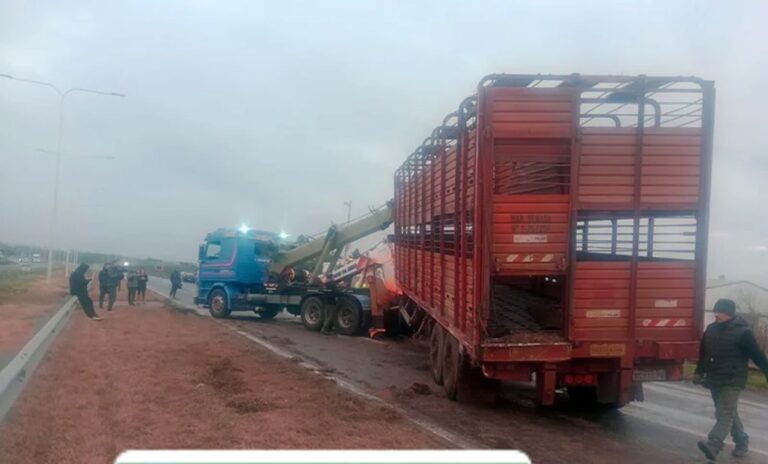 Congestión en la autopista Rosario-Santa Fe por vuelco de camión: la traza fue liberada