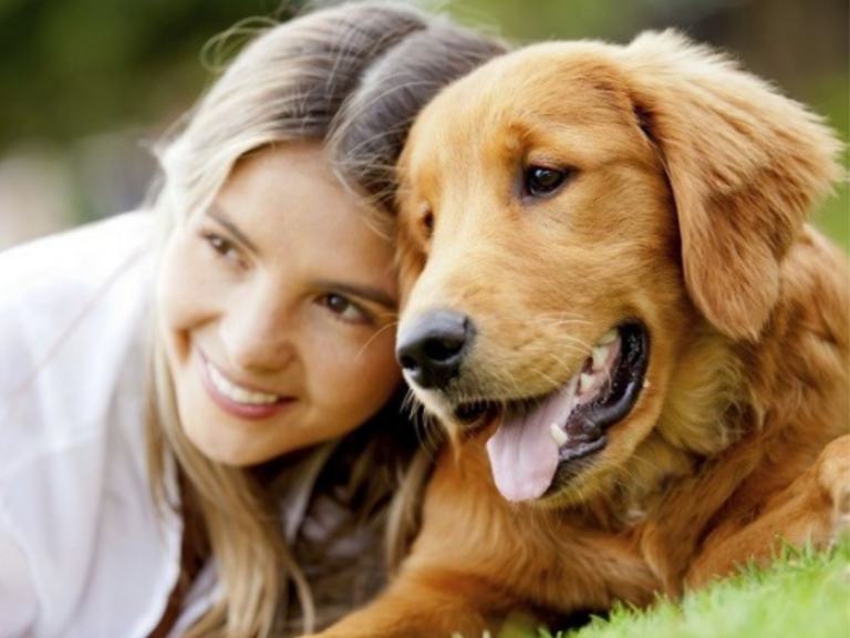 Día Mundial del Perro: origen, importancia y cómo se celebra.