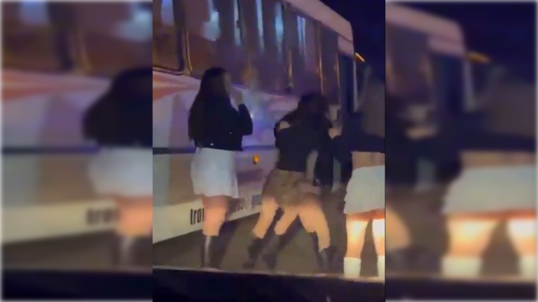 Dos grupos de chicas protagonizaron una feroz pelea en un boliche de Esperanza