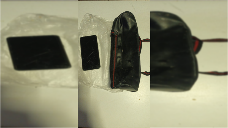 Aprehenden a un hombre tras robar un celular  en la vía pública