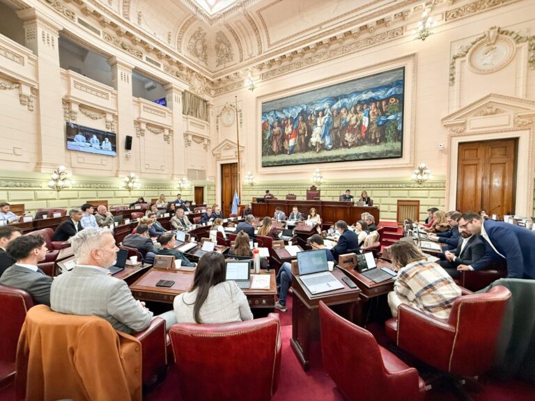 La Convención Reformadora ingresó en la etapa de redacción del nuevo texto constitucional