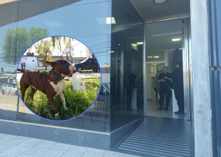 San Lorenzo: Fiscalía desestimó la causa contra la mujer que mató a un perro en barrio El Pino