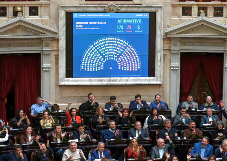 La oposición logró rechazar el veto de Milei a la Ley de Emergencia en Discapacidad en Diputados