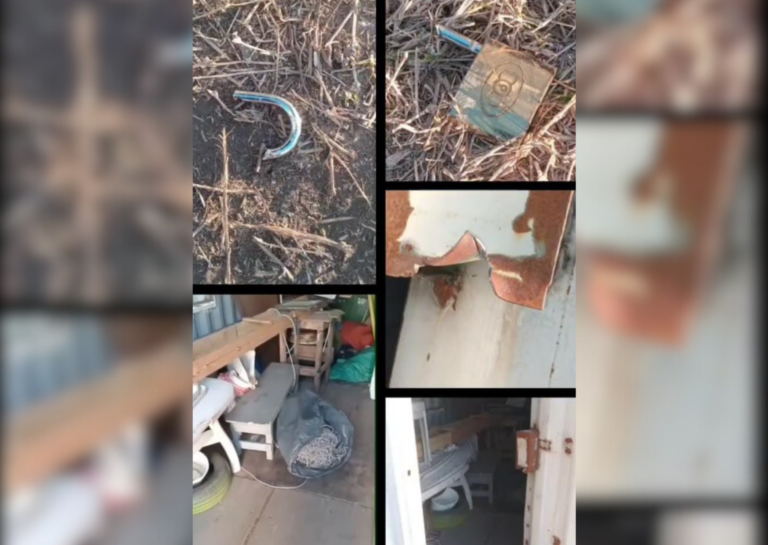 Robo en el Club Puerto Unidos: se llevaron pelotas, cables y materiales de entrenamiento