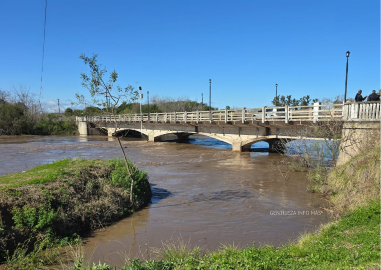 El Carcarañá amenaza con llegar a los 10 metros: monitorean la situación en Andino y Oliveros