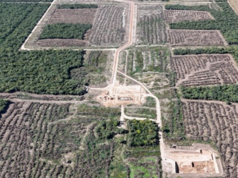 Desmonte ilegal de bosque nativo frenado en Santa Fe