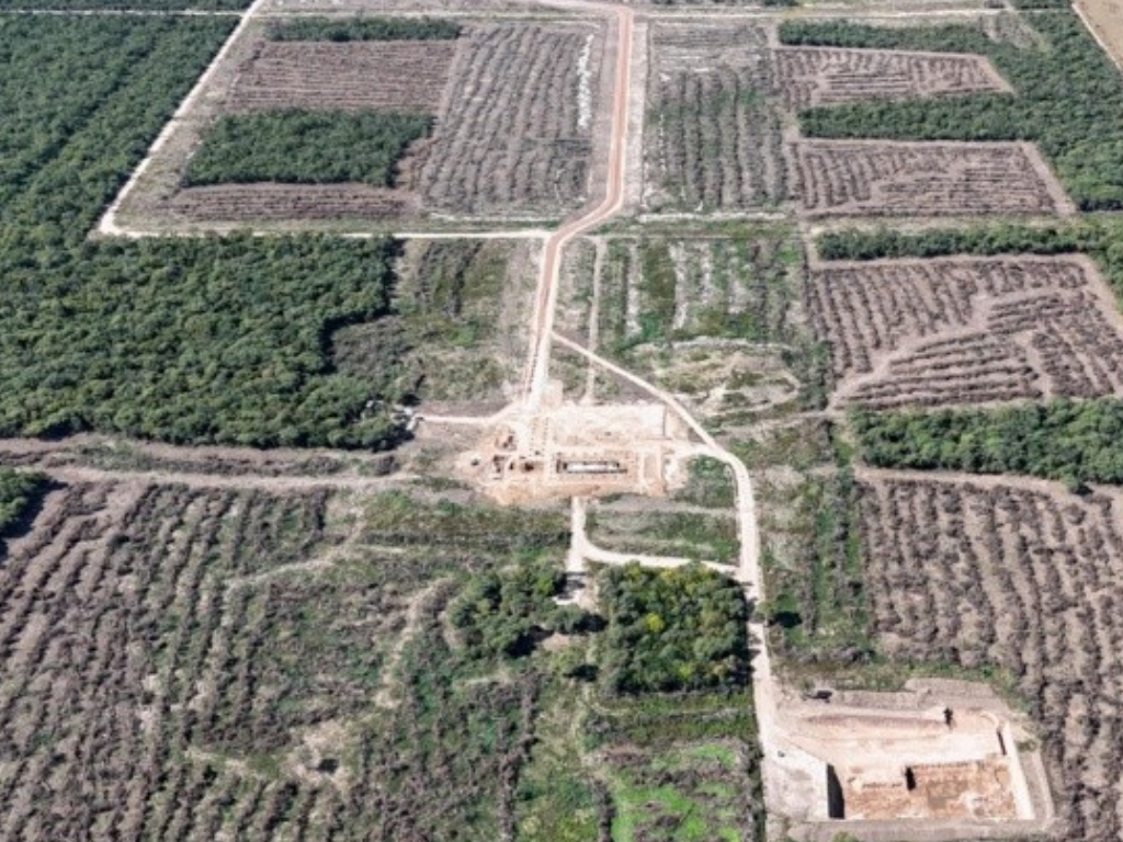 Predio clausurado tras desmonte ilegal de bosque nativo en Santa Fe