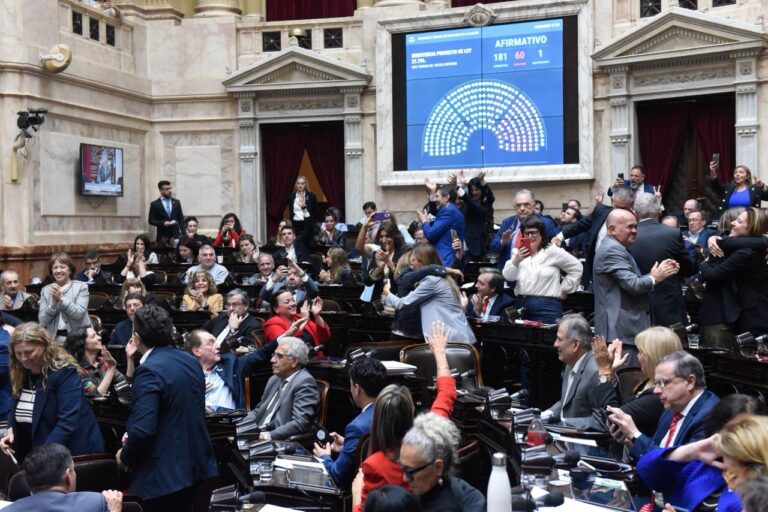 La mayoría de los diputados santafesinos rechazaron los vetos de Milei al financiamiento universitario y la emergencia pediátrica