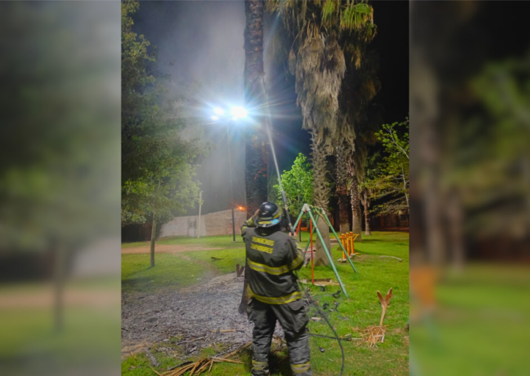 Se produjo un incendio en una palmera en Puerto  San Martín