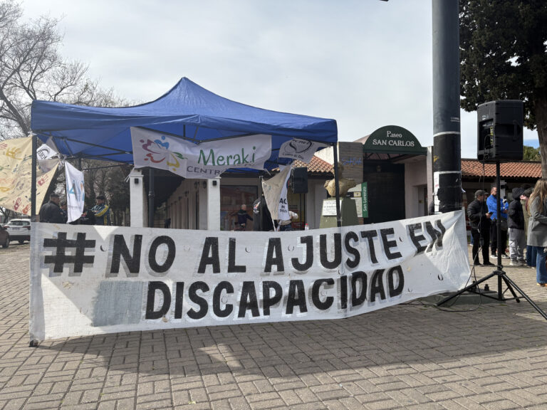 San Lorenzo se sumó a la jornada nacional por la Ley de Emergencia en Discapacidad