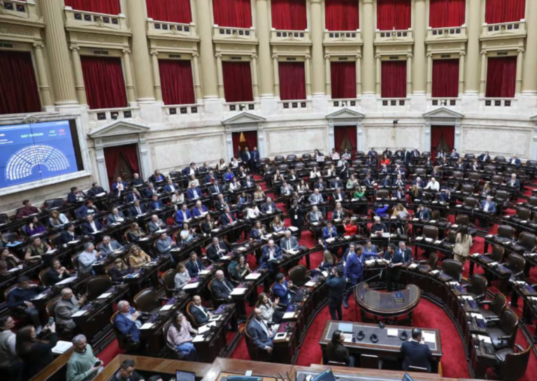 Contundente rechazo a los vetos de Milei: Diputados ratificó el financiamiento del Garrahan y las universidades