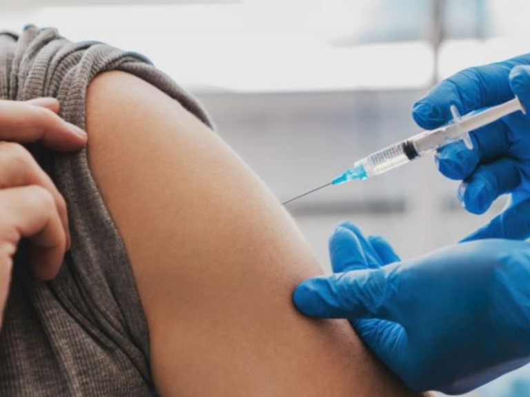 Vacunas contra el dengue: Santa Fe aplicó dosis gratuitas