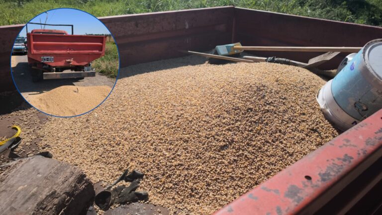 “Operativo cereal”: incautan camioneta, autos y hasta baldes en espectacular detención