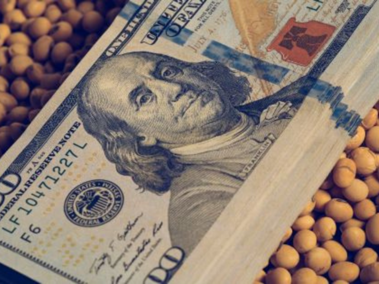 Agroexportación: caída de dólares podría llegar al 80%