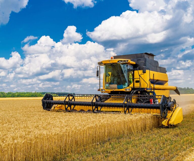 El Gobierno elimina regulaciones obsoletas en el sector agropecuario