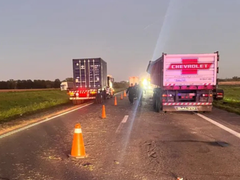Choque múltiple en autopista Rosario-Buenos Aires,camionero fallecido