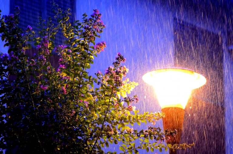 La región bajo alerta por tormentas fuertes: se esperan lluvias intensas hasta el mediodía del viernes