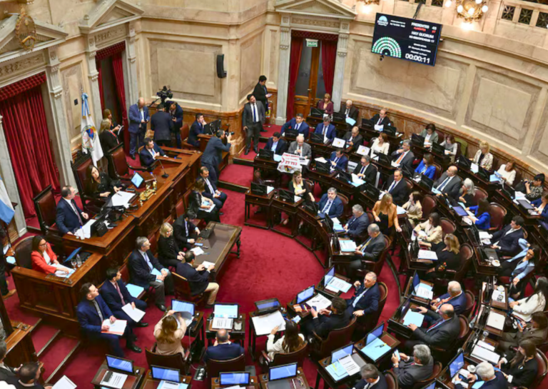 El Senado rechazó los vetos de Milei y ratificó las leyes de financiamiento universitario y emergencia pediátrica