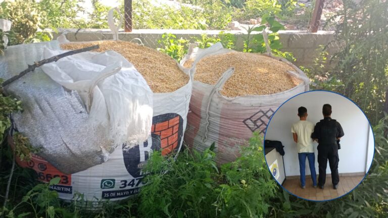 Frustran intento de robo de 3.000 kilos de maíz en Puerto San Martín