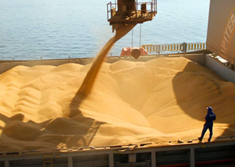 La agroexportación argentina ingresó US$ 1.117 millones en octubre