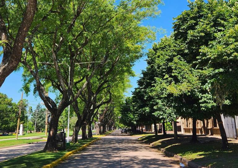 San Jerónimo incorpora tecnología y participación estudiantil para relevar el arbolado público