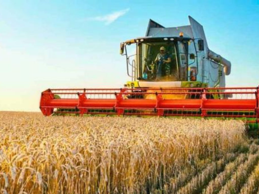 Campos de trigo en Argentina con rendimientos récord en la cosecha 2025/26