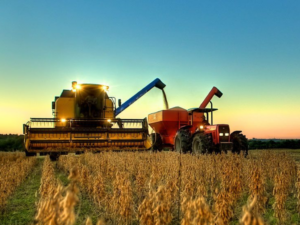 El agro liquidó dólares en 2025 con un récord de ingreso de divisas