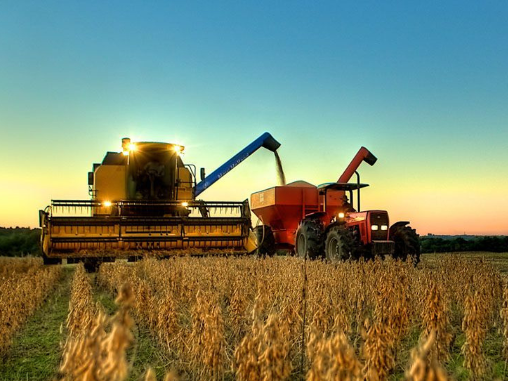 El agro liquidó dólares en 2025 con un récord de ingreso de divisas