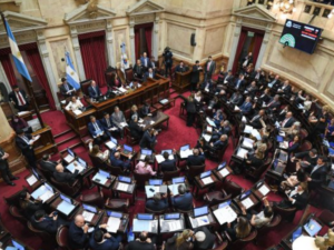 Presupuesto 2026: votación del Senado con posiciones divididas de Santa Fe
