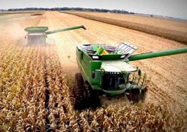 El Gobierno anunció una nueva baja de retenciones para el campo