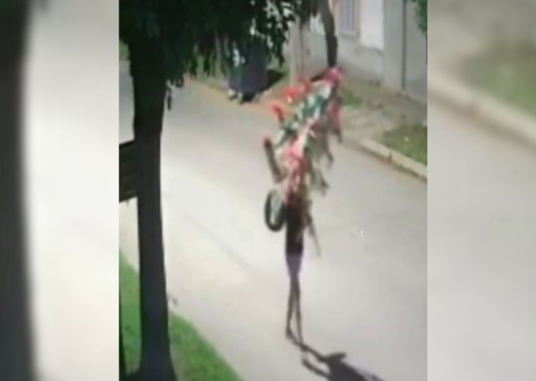 Robó un árbol de Navidad de una parroquia en Beltrán y fue aprehendido