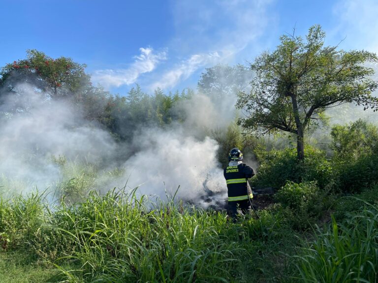 Controlaron un incendio intencional de pastizales en inmediaciones de la autopista en San Lorenzo