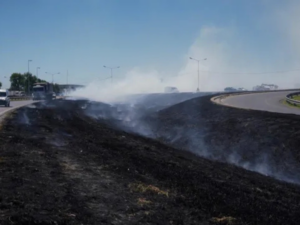 Bomberos sofocaron un incendio de pastizales en la Avenida de Circunvalación de Rosario.