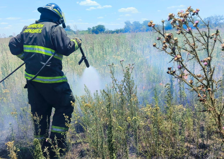 Incendio forestal de gran magnitud en la zona rutal de San Lorenzo: ardieron unas 18 hectáreas
