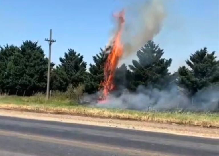 Incendio de pastizales en la AO12 movilizó a bomberos de la región