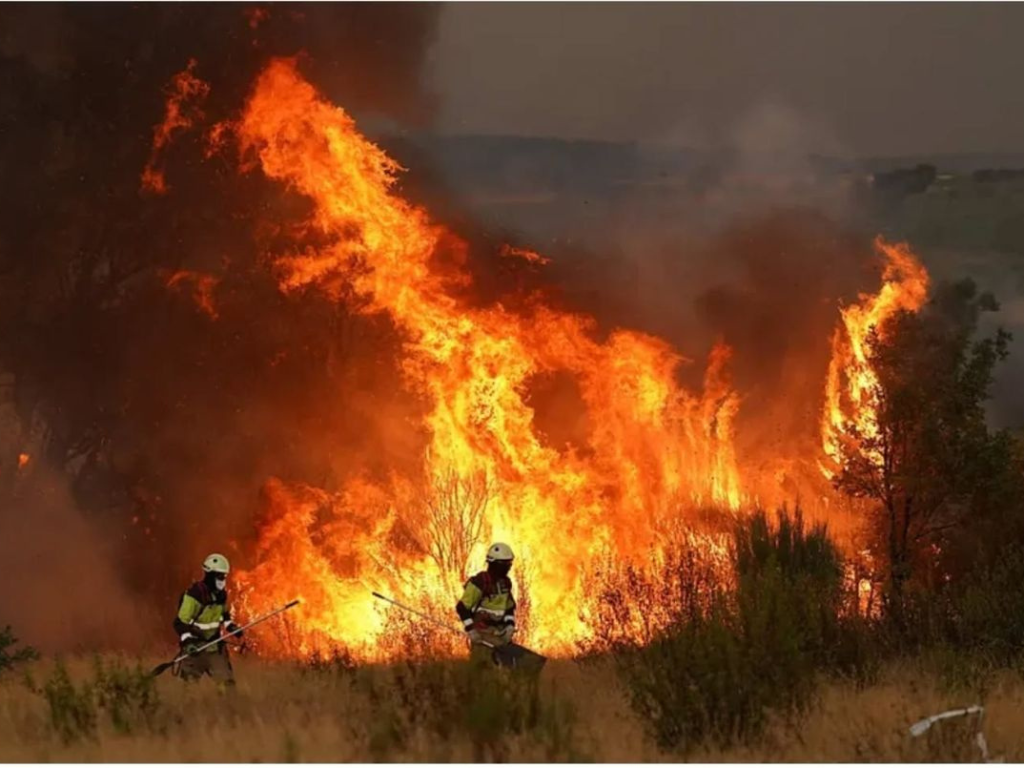 Combate de incendios forestales en Chubut zona Lago Epuyén