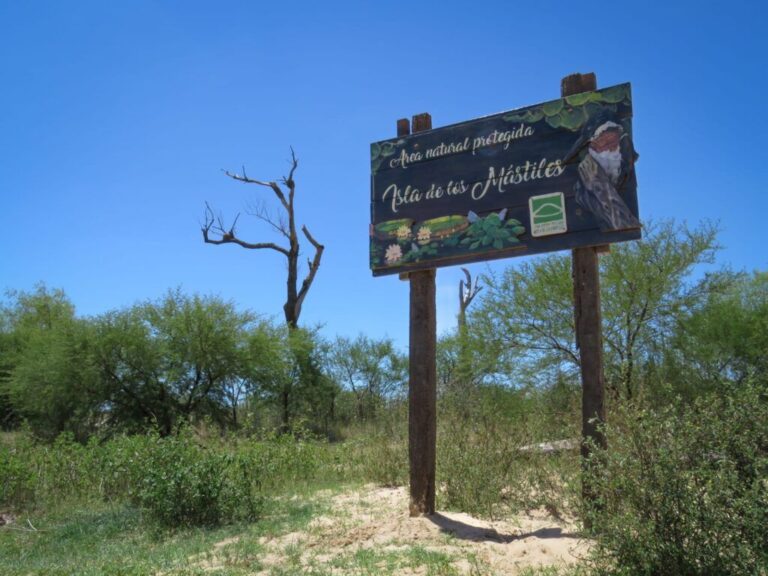 Alarma ambiental por construcción ilegal en reserva natural de la Isla de los Mástiles