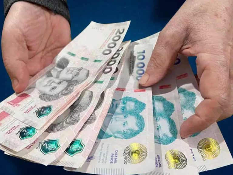 De cuánto son los planes sociales y asignaciones de ANSES en enero 2026