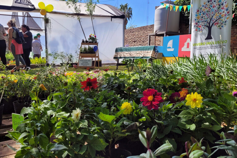 El Vivero Inclusivo no se toma vacaciones y sigue compartiendo su trabajo durante todo el verano