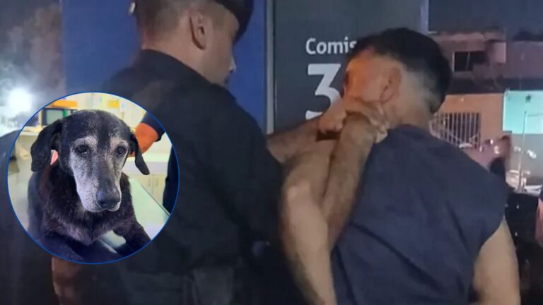 Detuvieron al hombre que violó una perrita comunitaria de barrio Godoy de Rosario