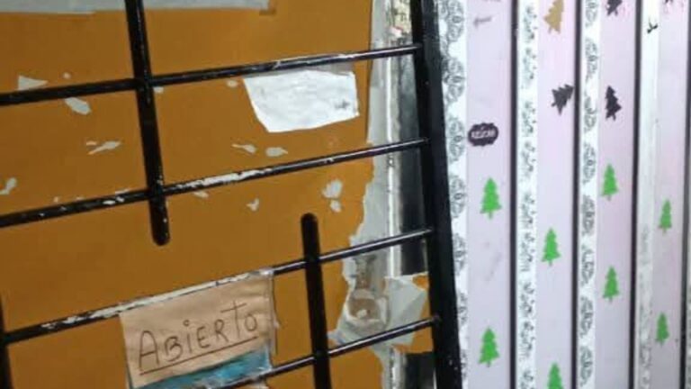 Violento robo en la madrugada: una dietética de barrio Celulosa perdió mercadería, dinero y electrodomésticos